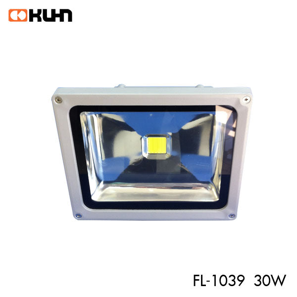 FOCO PROYECTOR AREA LED ALUM 30W 100X50º FL-1039-30W CW